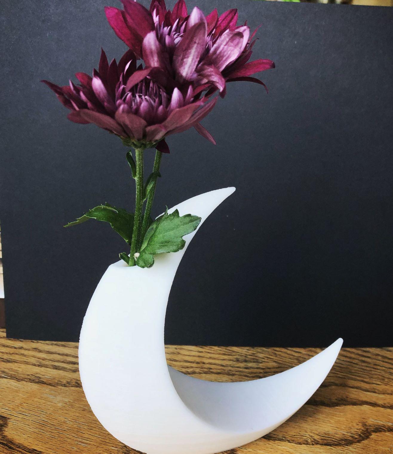 Minimalist Moon Vase / Modern Decorative Vase for Home Decor / Elegant Display Piece - Free Shipping