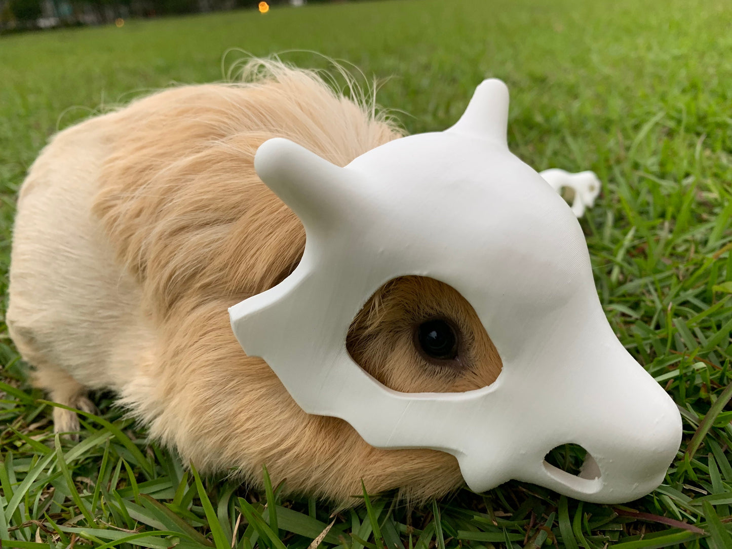 Cubone Dog Mask - Dog Costume - Pokemon Dog Mask - FREE SHIPPING